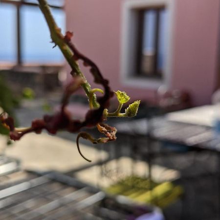 Horizon Pantelleria Bed and Breakfast Campobello Εξωτερικό φωτογραφία