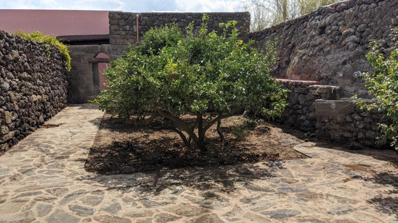 Horizon Pantelleria Bed and Breakfast Campobello Εξωτερικό φωτογραφία