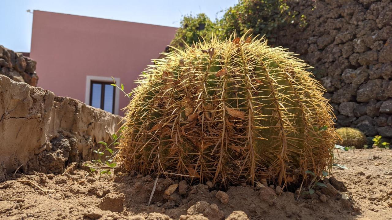 Horizon Pantelleria Bed and Breakfast Campobello Εξωτερικό φωτογραφία