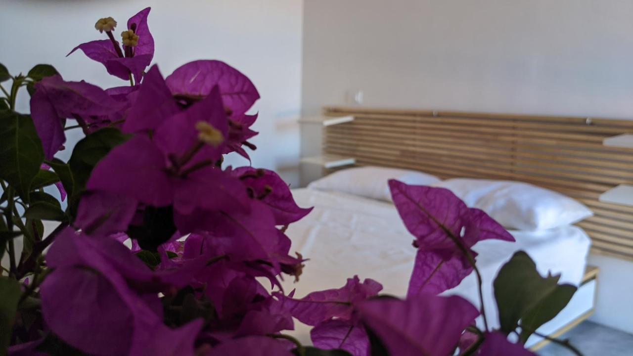 Horizon Pantelleria Bed and Breakfast Campobello Εξωτερικό φωτογραφία