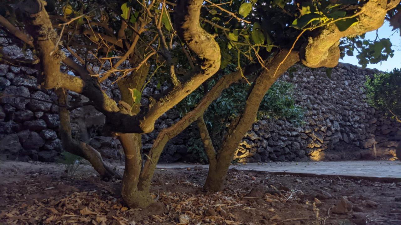 Horizon Pantelleria Bed and Breakfast Campobello Εξωτερικό φωτογραφία