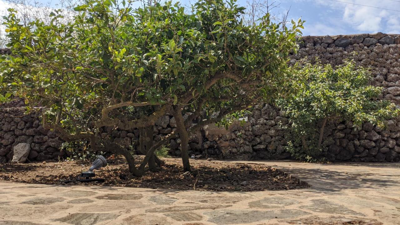Horizon Pantelleria Bed and Breakfast Campobello Εξωτερικό φωτογραφία